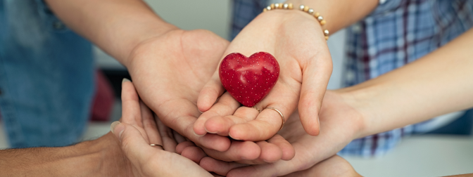 Bazar Beneficente em Campo Magro: Como Funciona, Como Ajudar e Impactos na Comunidade